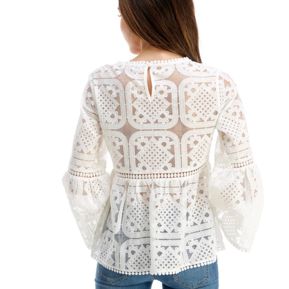 Organza Embroidered Lace Eyelet Top - Picture 3 of 8